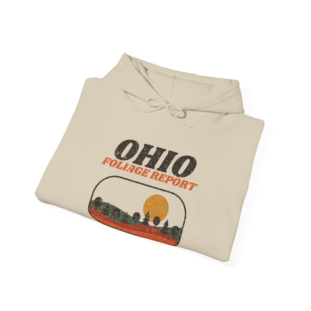 Ohio Foliage Report Retro Landscape Hoodie