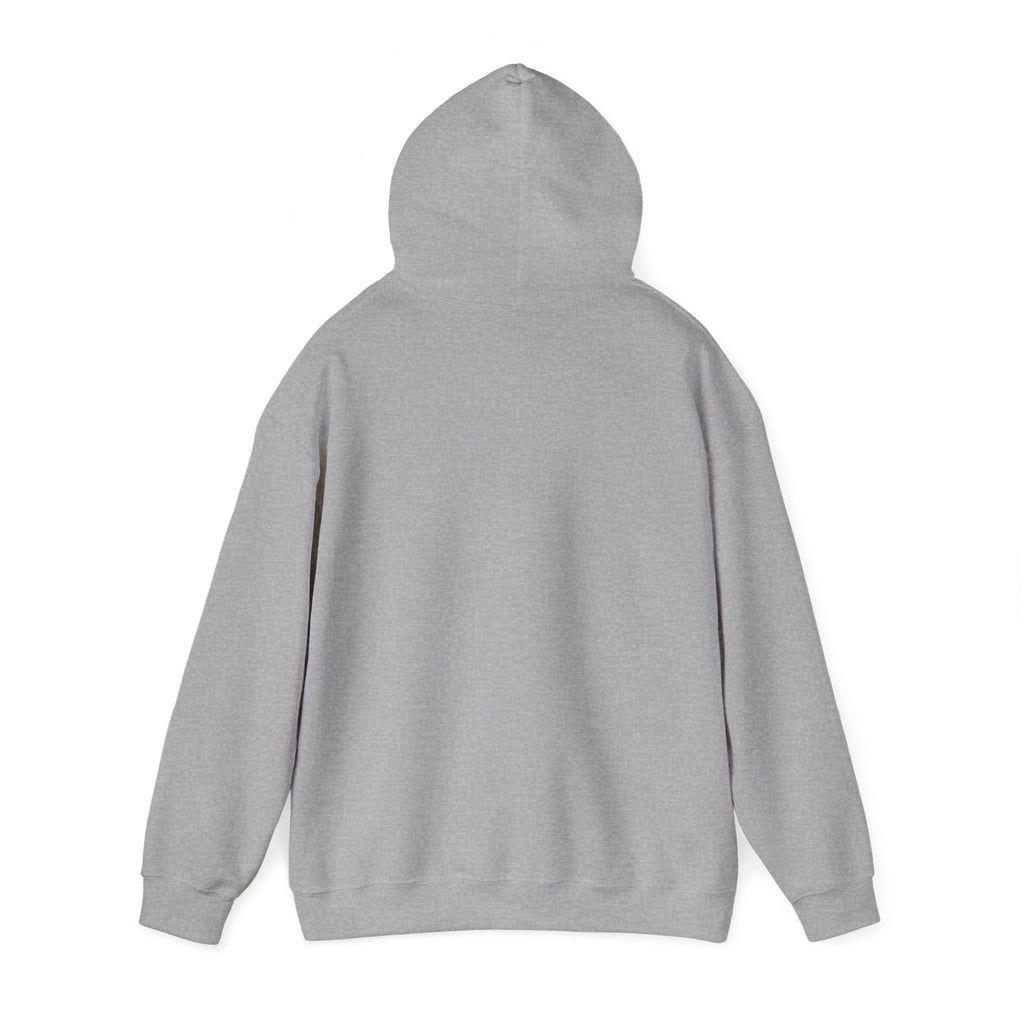 Ireland Est 1937 Vintage Ornate Lettering Hoodie