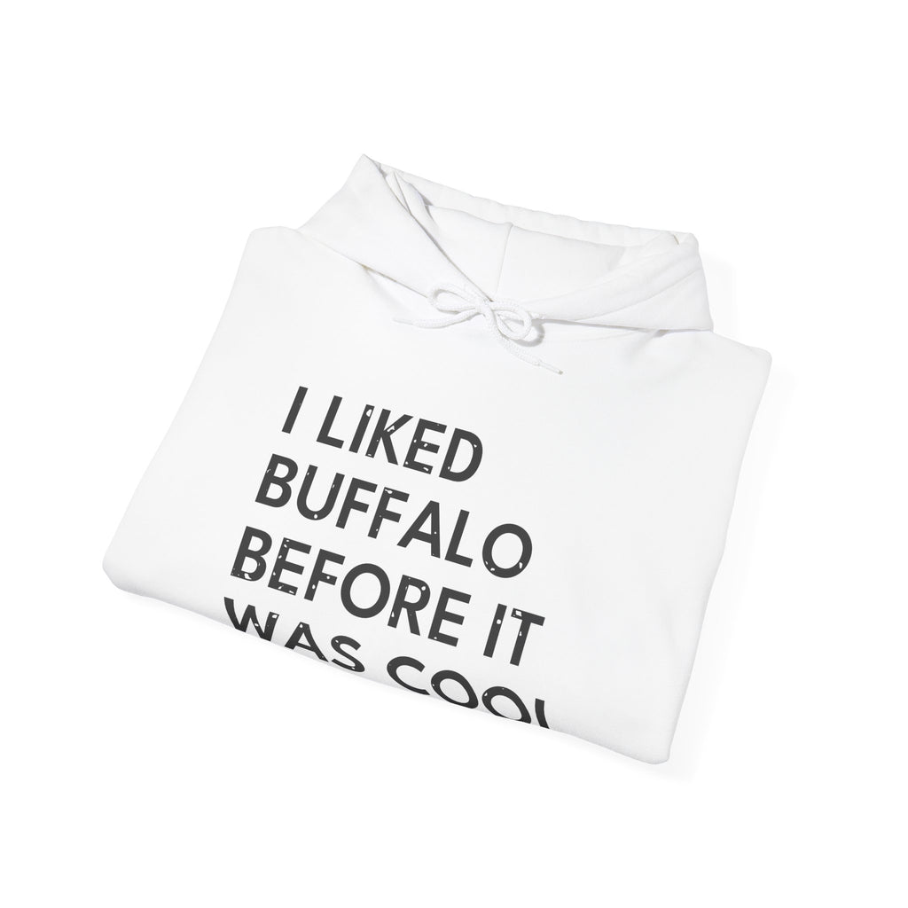 I Liked Buffalo Before It Was Cool Retro Hometown Hoodie