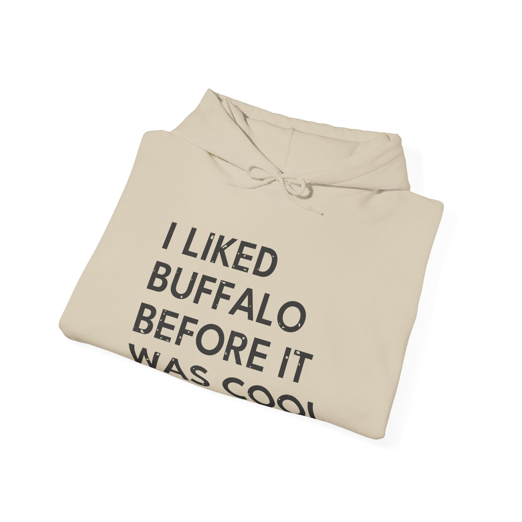 I Liked Buffalo Before It Was Cool Retro Hometown Hoodie
