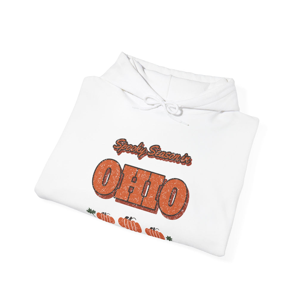 Spooky Season in Ohio Vintage Postcard Hoodie