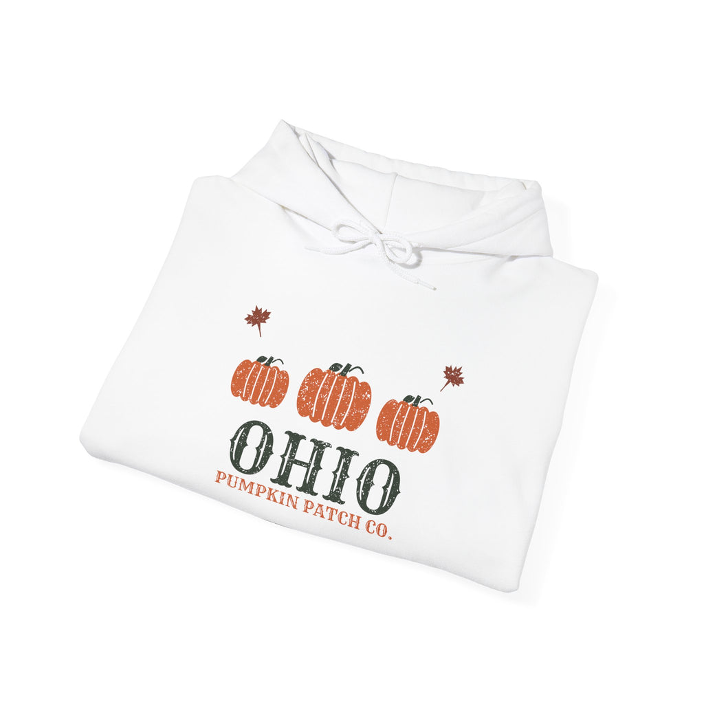 Ohio Pumpkin Patch Co. Retro Hoodie