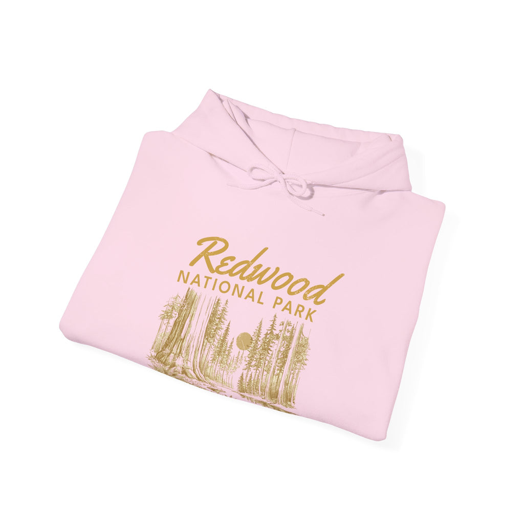 Redwood National Park Vintage Forest Sketch Hoodie
