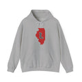Illinois Varsity Monogram Map Hoodie