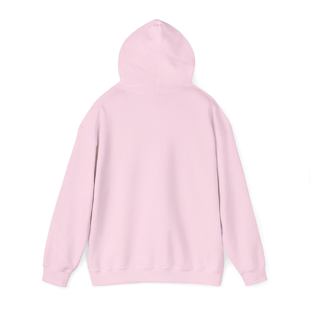 No Irish Need Apply Irish American Shamrocks Hoodie