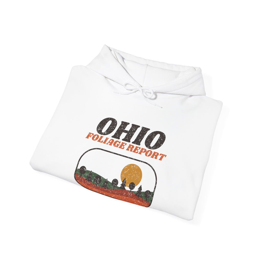 Ohio Foliage Report Retro Landscape Hoodie