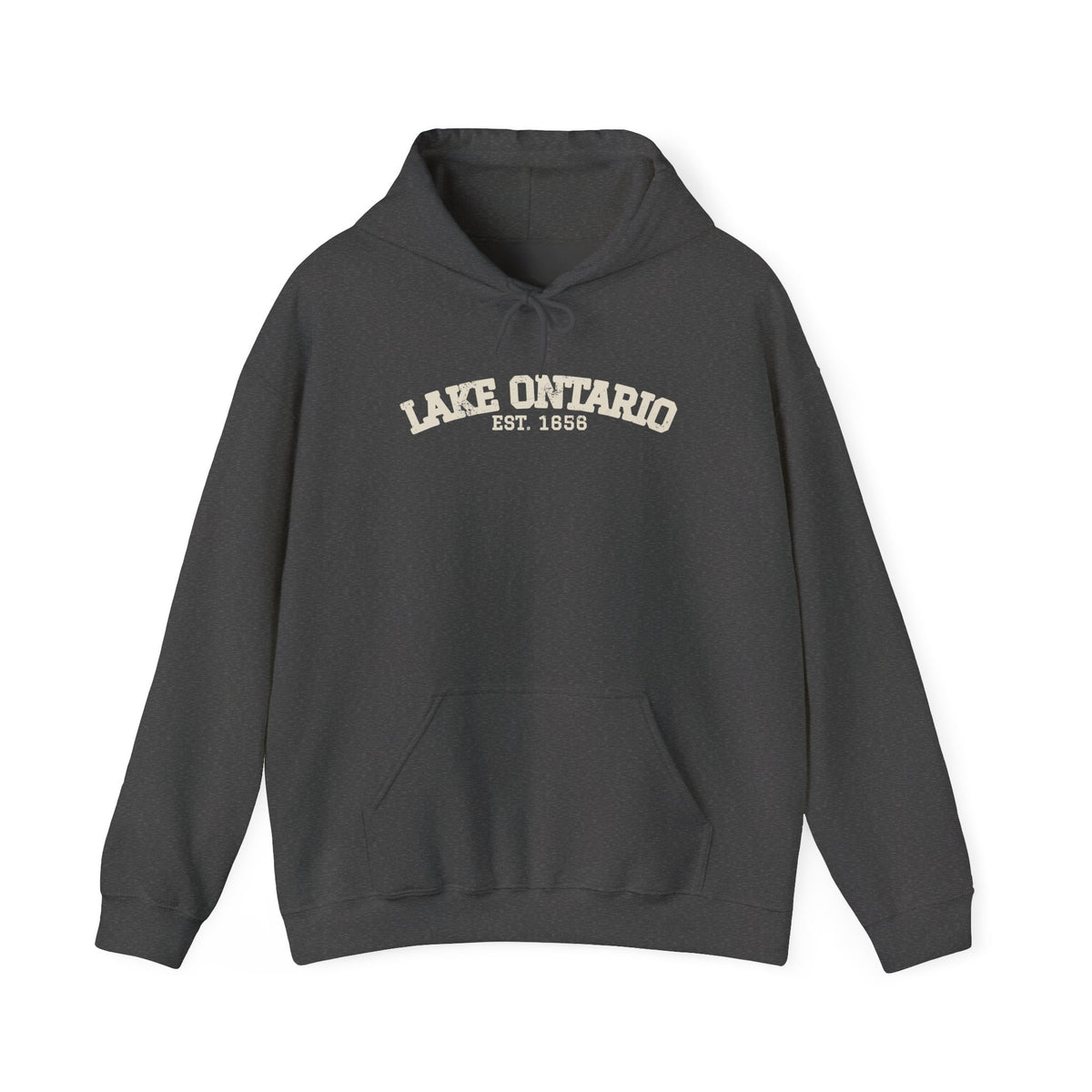 Lake Ontario Est 1656 Retro Varsity Hoodie