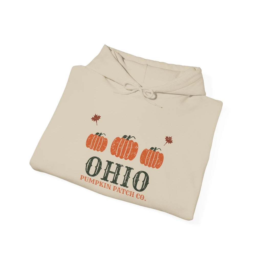 Ohio Pumpkin Patch Co. Retro Hoodie
