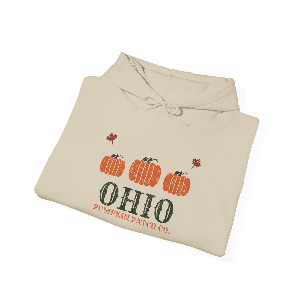 Ohio Pumpkin Patch Co. Retro Hoodie