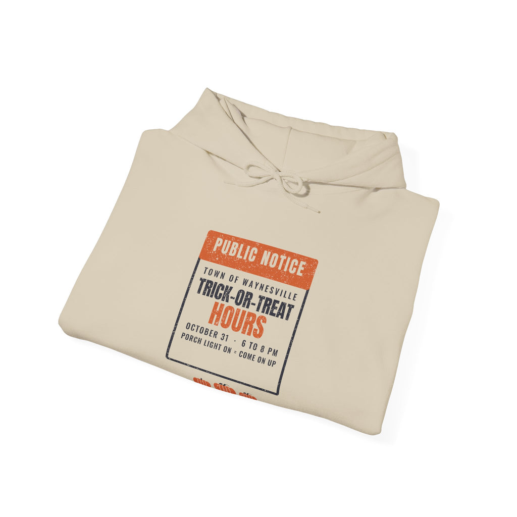 Waynesville Ohio Trick-or-Treat Hours Notice Hoodie