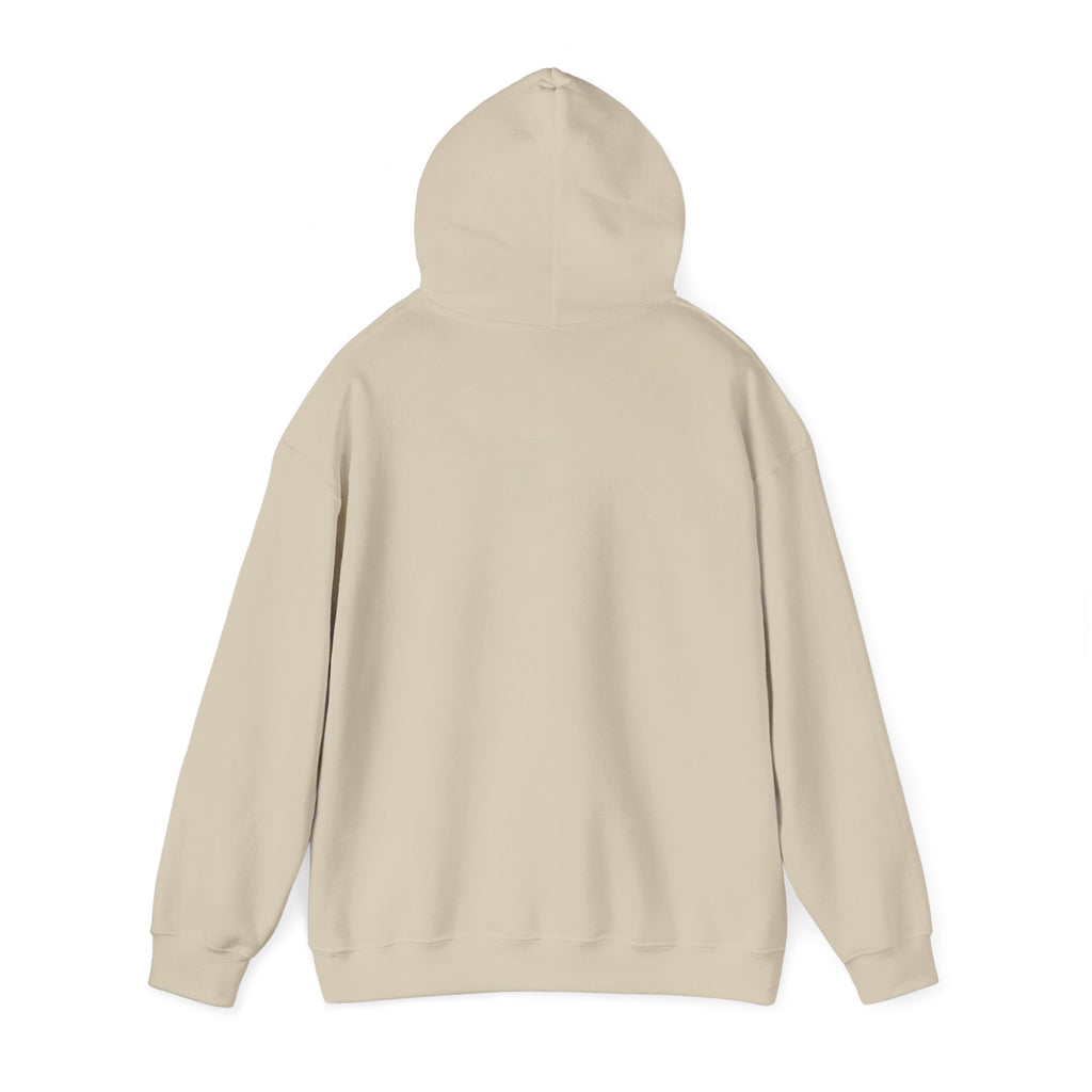 I Liked Seattle Before It Was Cool Retro Hometown Hoodie