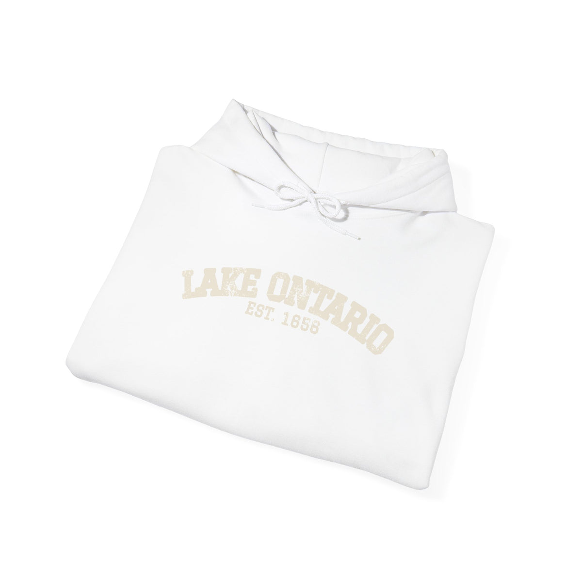 Lake Ontario Est 1656 Retro Varsity Hoodie
