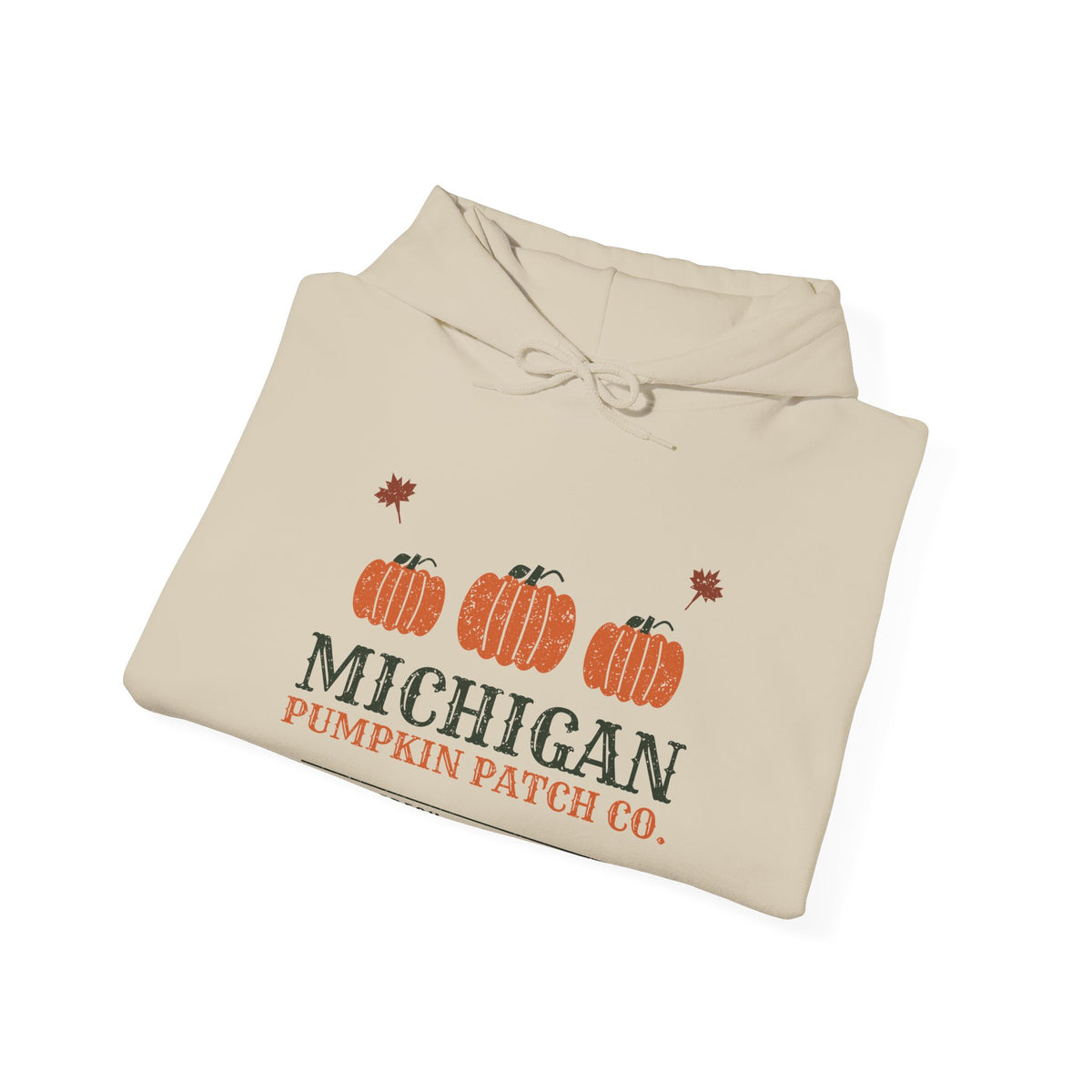 Michigan Pumpkin Patch Co. Retro Hoodie