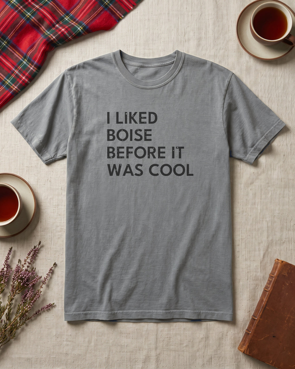 I Liked Boise Before It Was Cool Retro Hometown T-Shirt (photo)