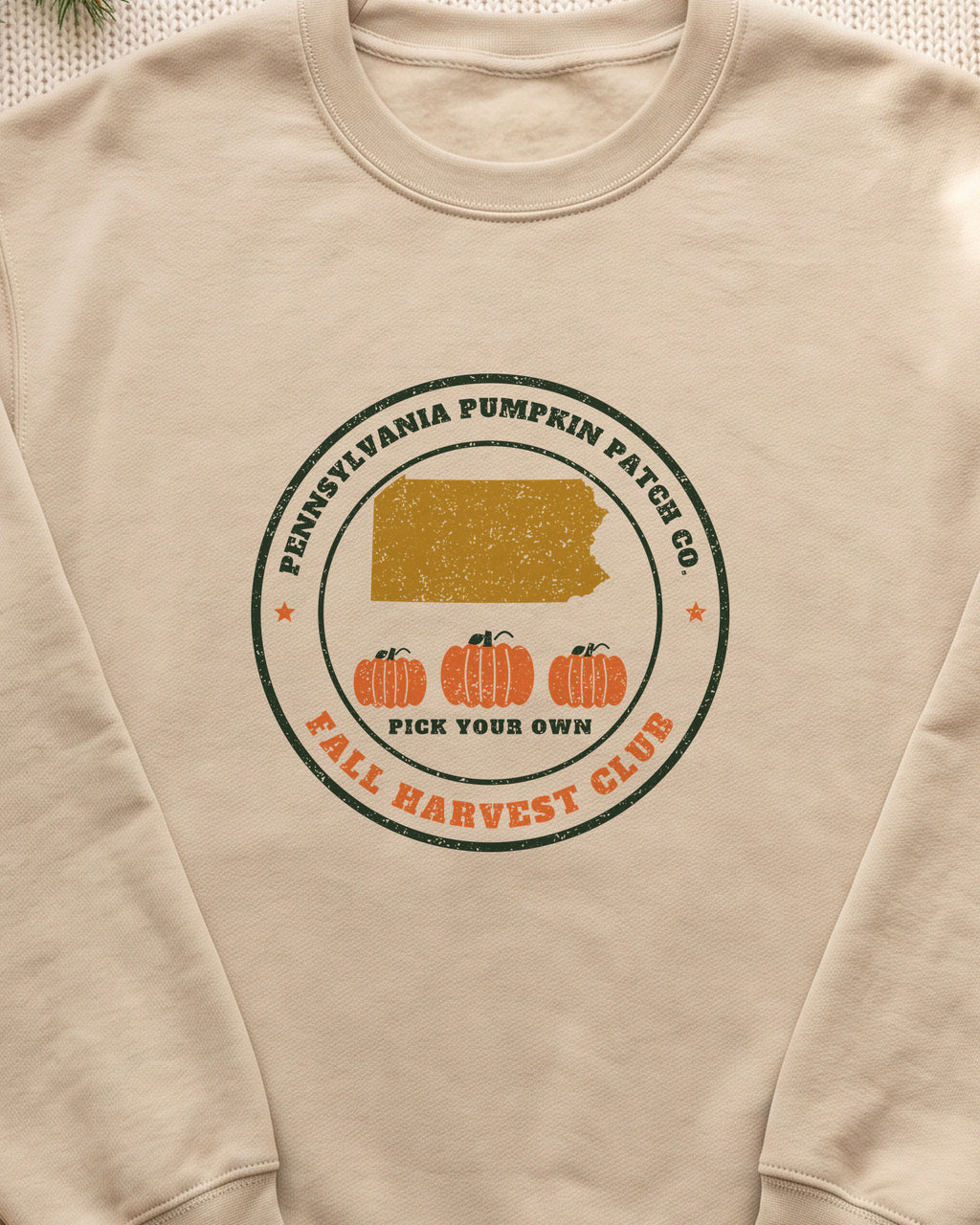 Pennsylvania Pumpkin Patch Co. Badge Crewneck Sweatshirt (close-up)