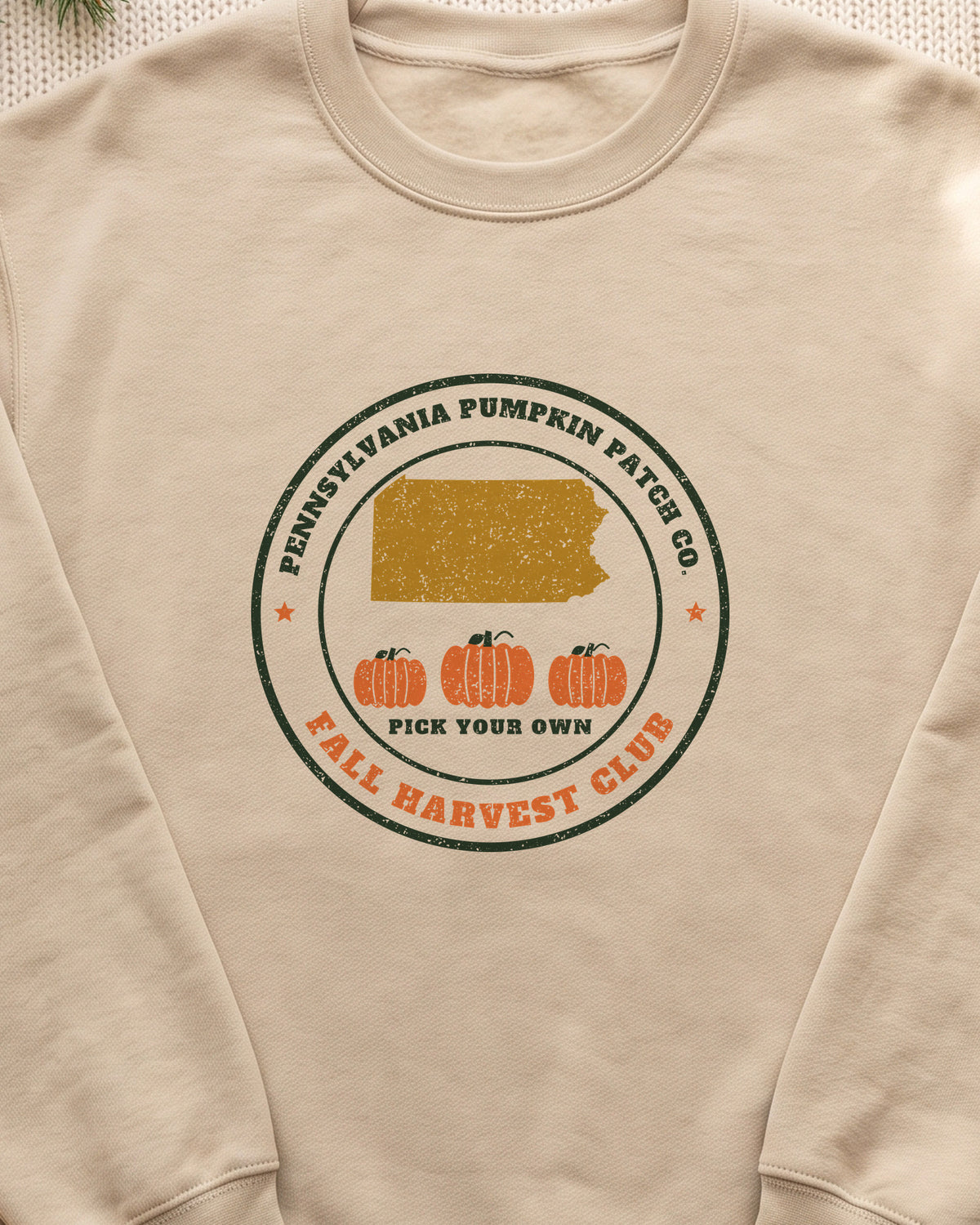Pennsylvania Pumpkin Patch Co. Badge Crewneck Sweatshirt (close-up)