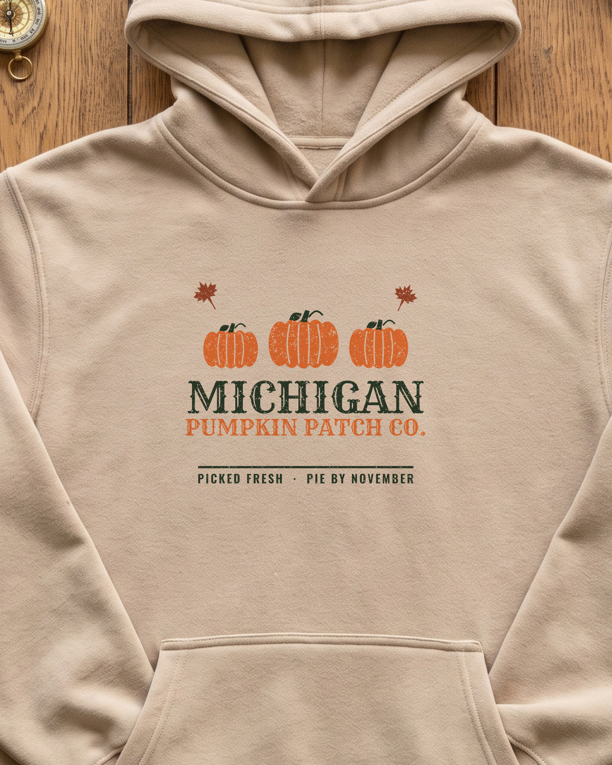 Michigan Pumpkin Patch Co. Retro Hoodie (close-up)