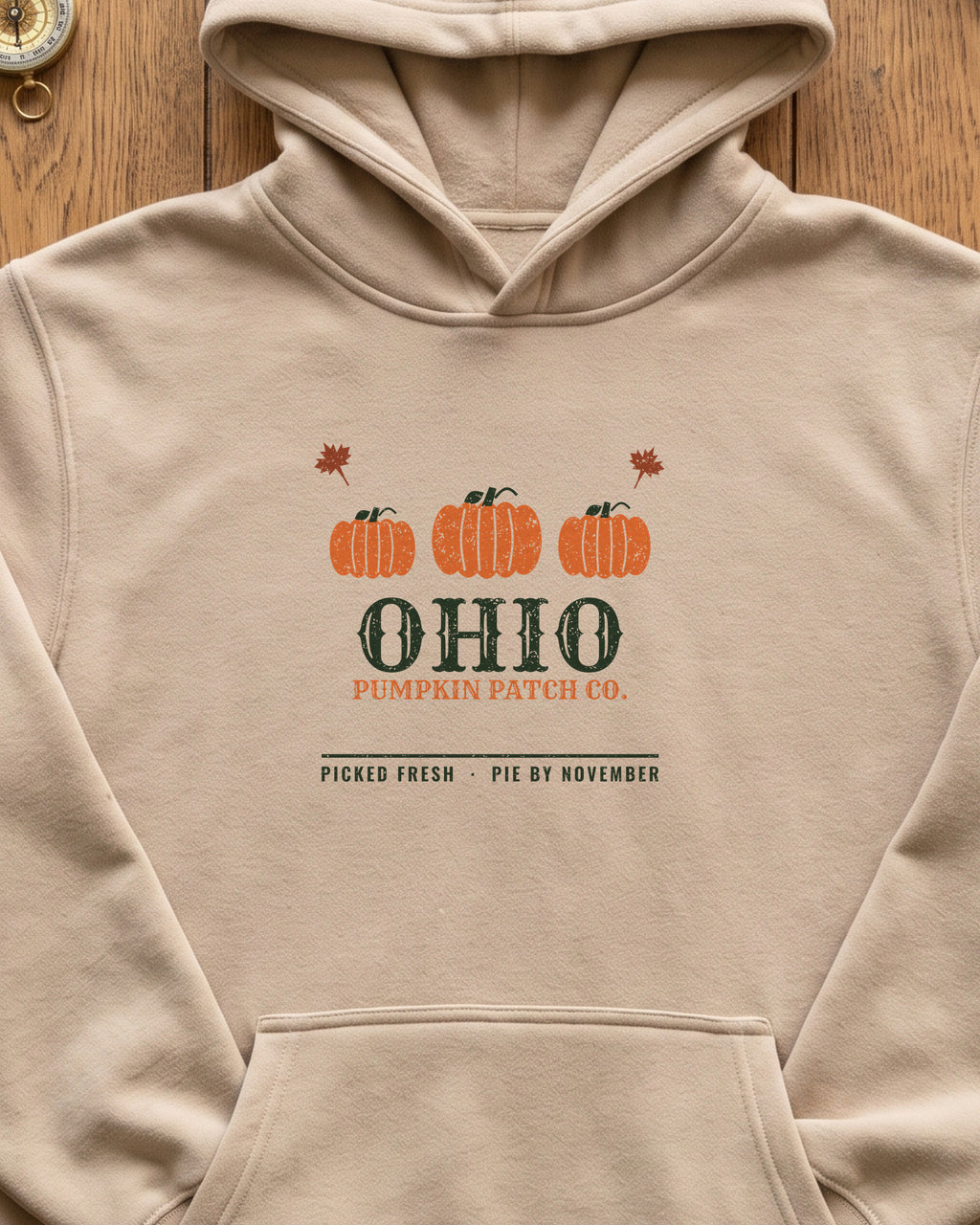 Ohio Pumpkin Patch Co. Retro Hoodie (close-up)
