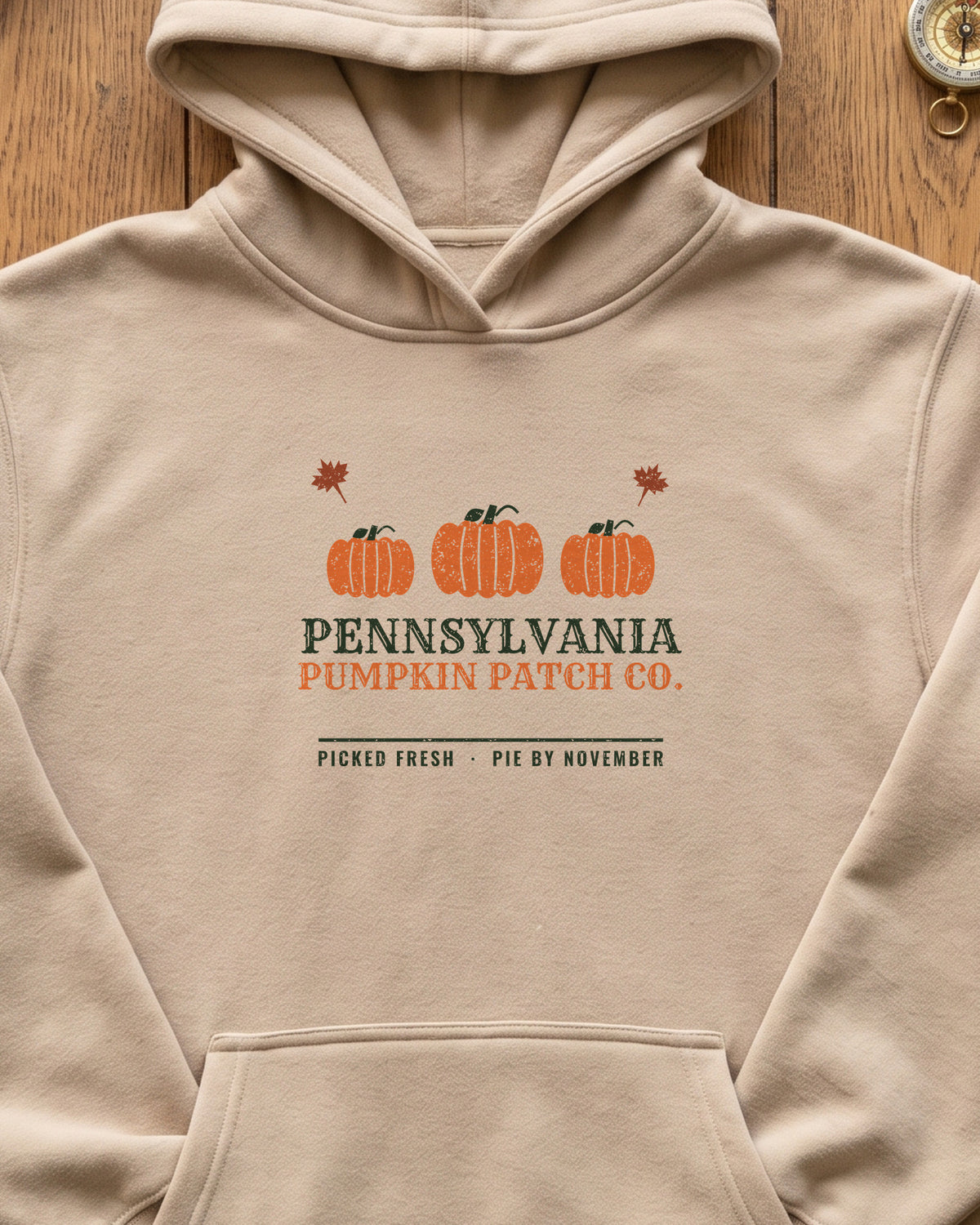 Pennsylvania Pumpkin Patch Co. Retro Hoodie (close-up)