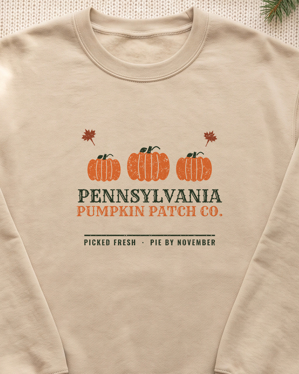 Pennsylvania Pumpkin Patch Co. Retro Crewneck Sweatshirt (close-up)