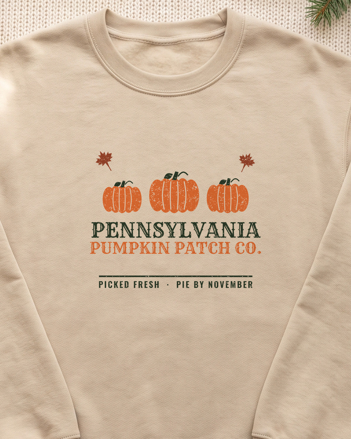 Pennsylvania Pumpkin Patch Co. Retro Crewneck Sweatshirt (close-up)