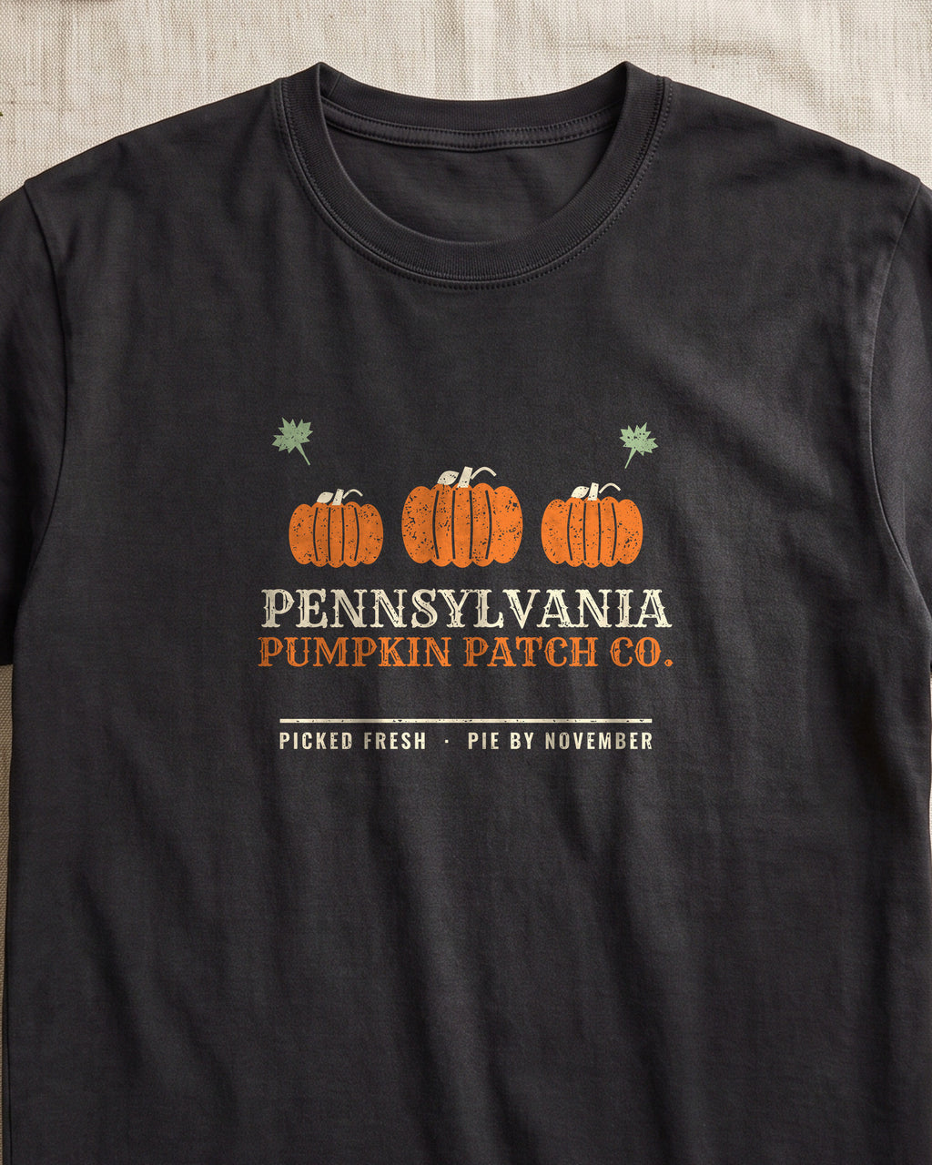 Pennsylvania Pumpkin Patch Co. Retro T-Shirt (close-up)