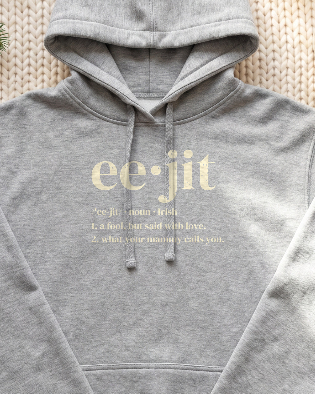 Eejit Irish Slang Dictionary Definition Hoodie (close-up)
