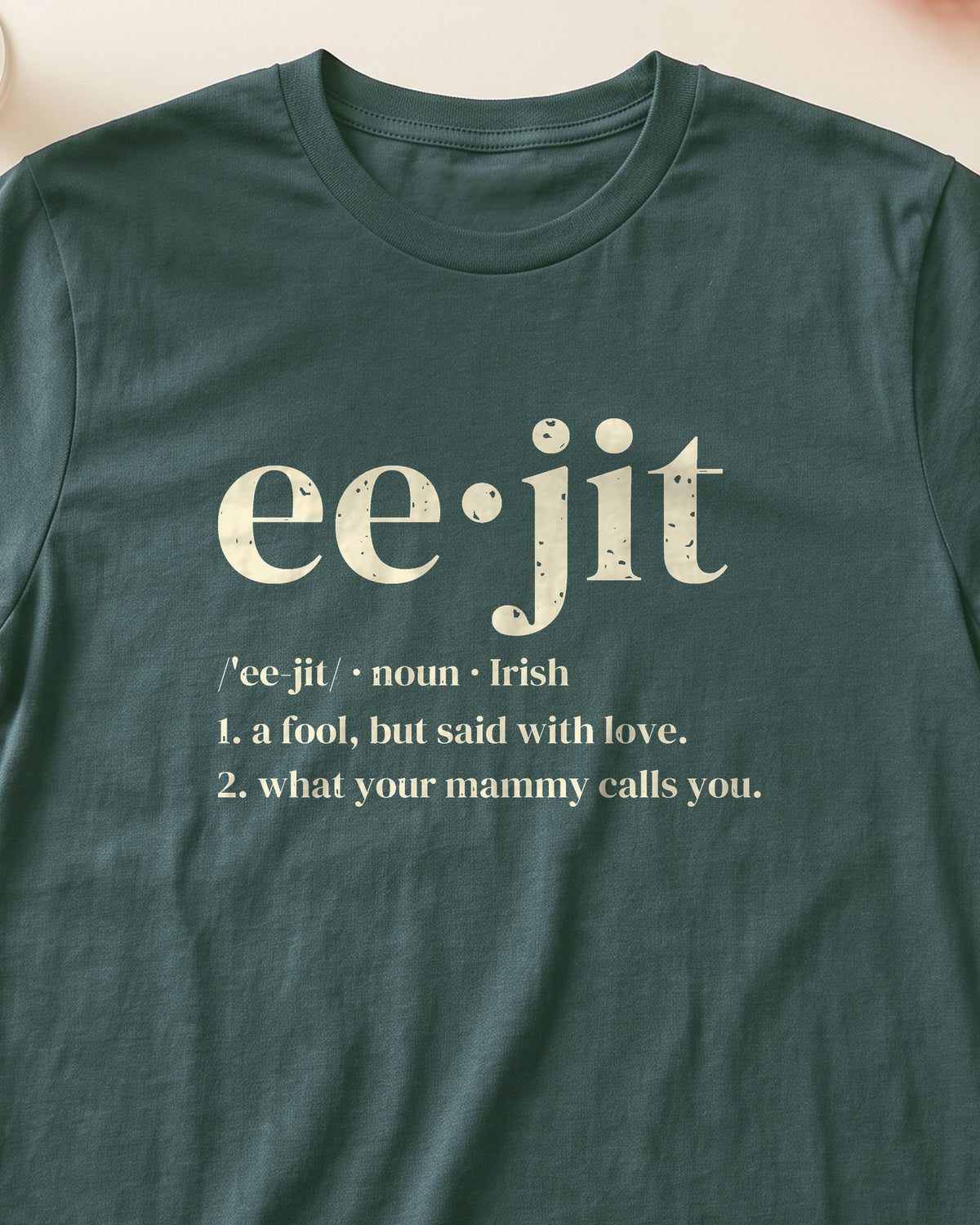 Eejit Irish Slang Dictionary Definition T-Shirt (close-up)